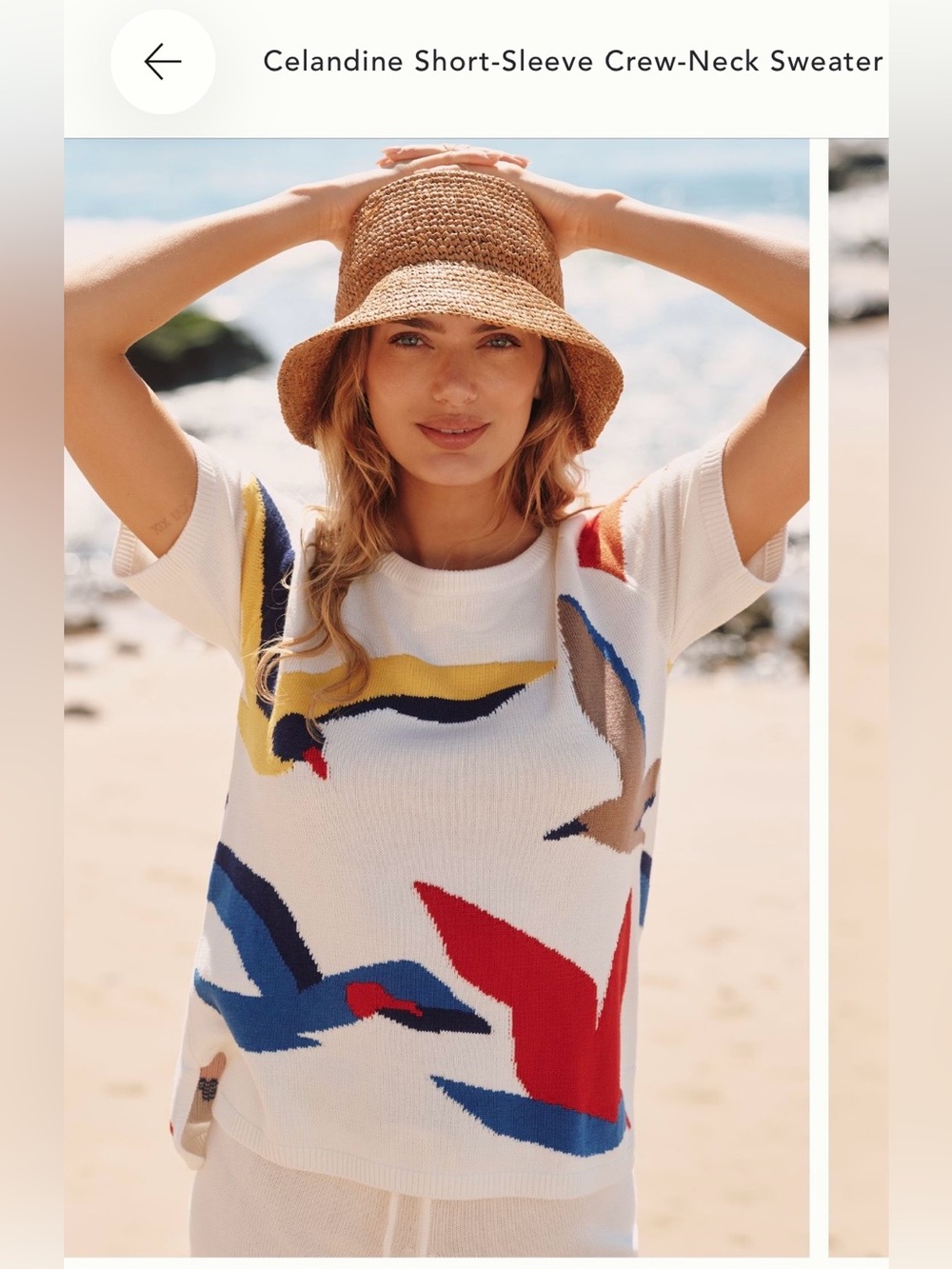 Celandine Short-Sleeve Crew-Neck Sweater - White with Multicolor Bird Print